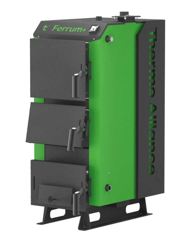 Фото - Thermo Alliance Ferrum Plus V 5.0 FSF+ 16 (FerrumPFSFP16V50)